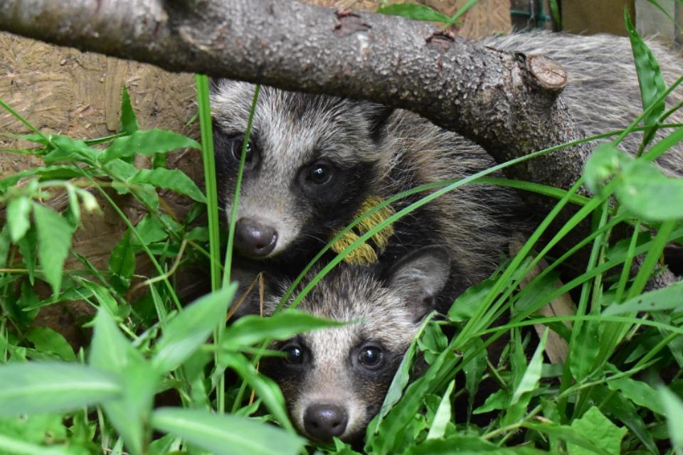 私たちの取り組む課題の画像