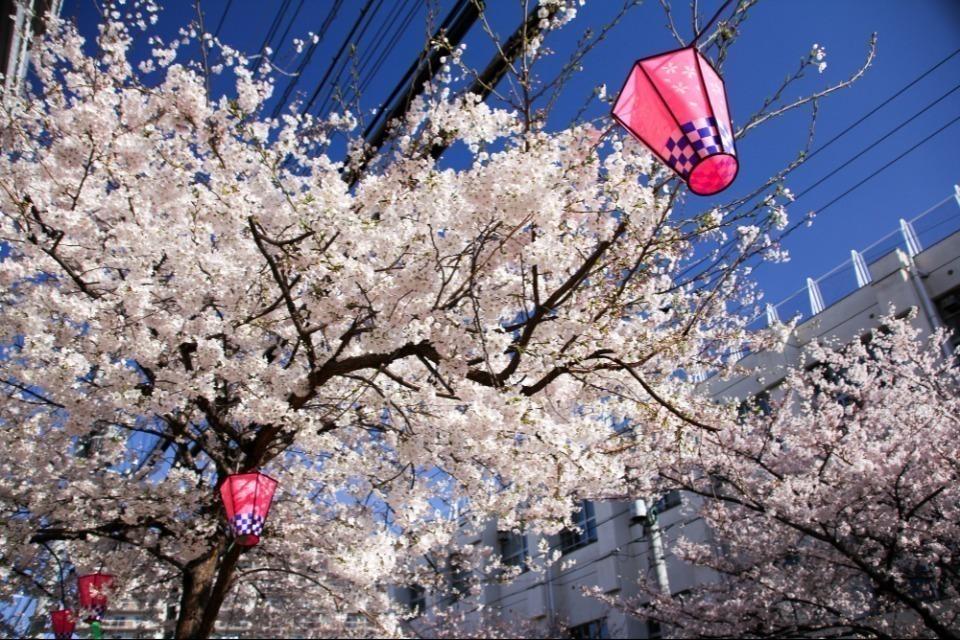 私たちの取り組む課題の画像