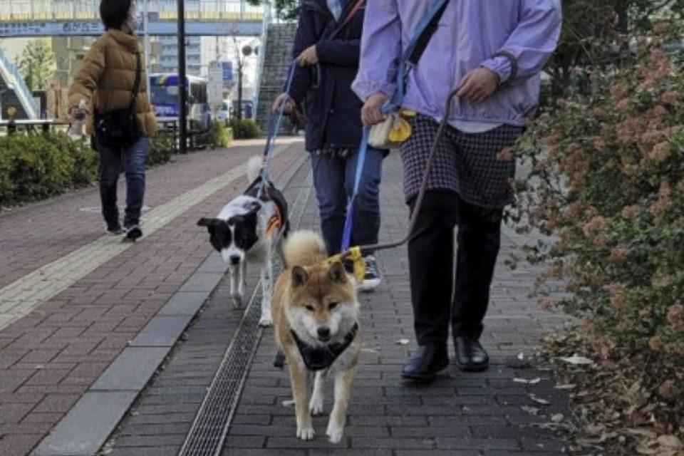 私たちの取り組む課題の画像