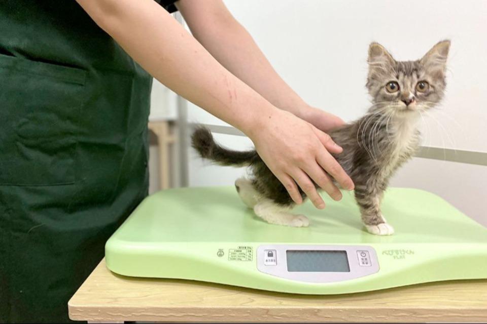 私たちの取り組む課題の画像