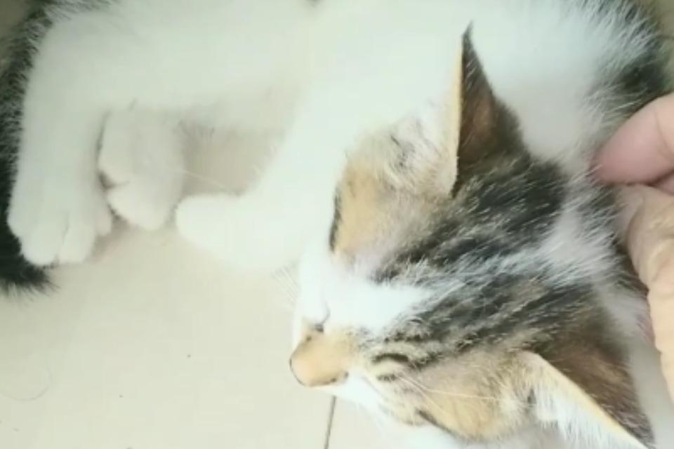私たちの取り組む課題の画像