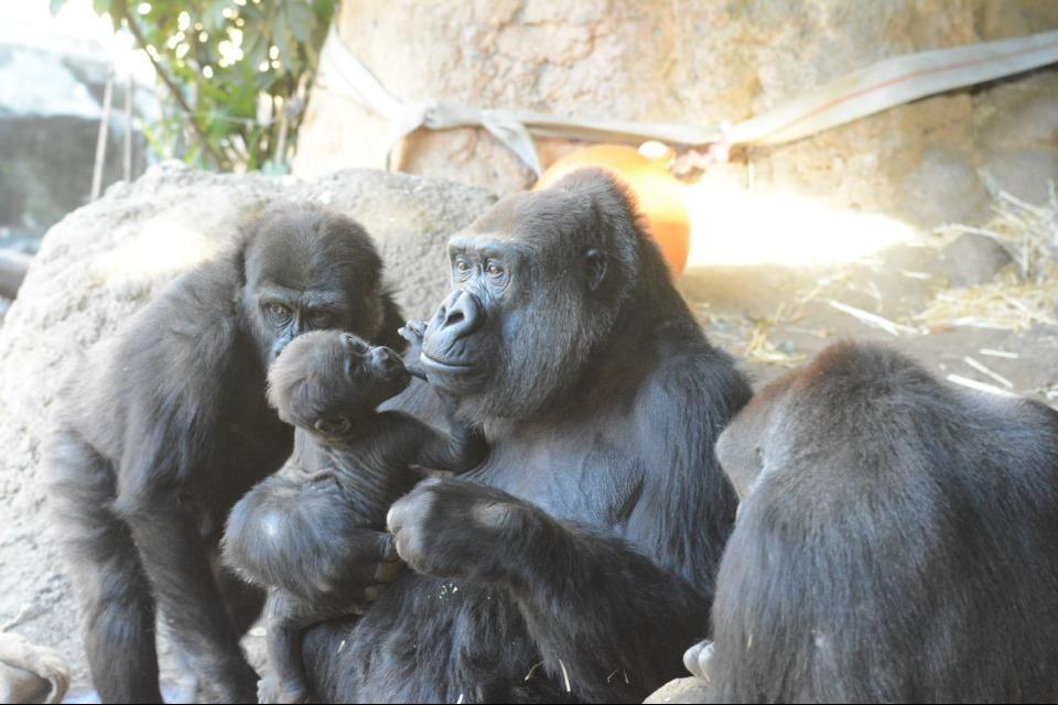 私たちの取り組む課題の画像