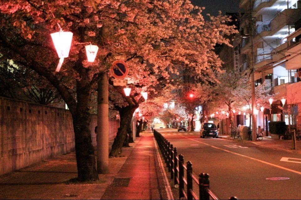 私たちの取り組む課題の画像