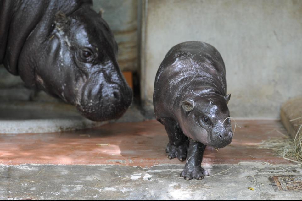 私たちの取り組む課題の画像