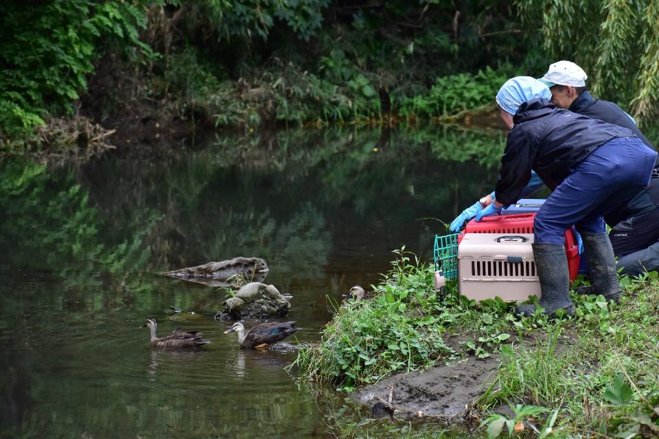 私たちの取り組む課題の画像