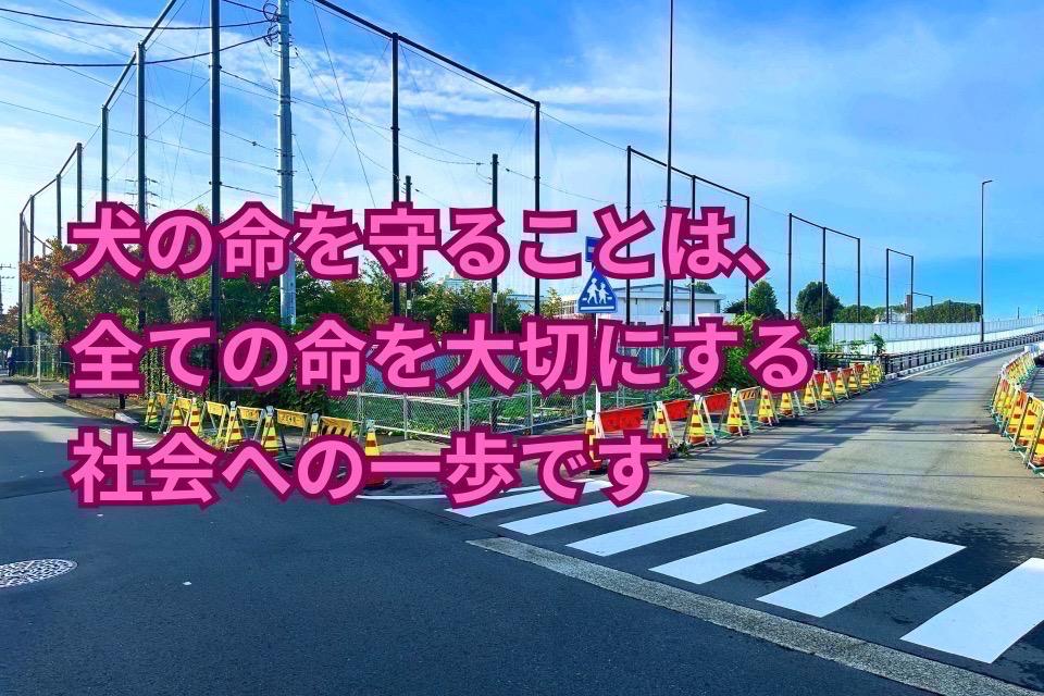 私たちの取り組む課題の画像