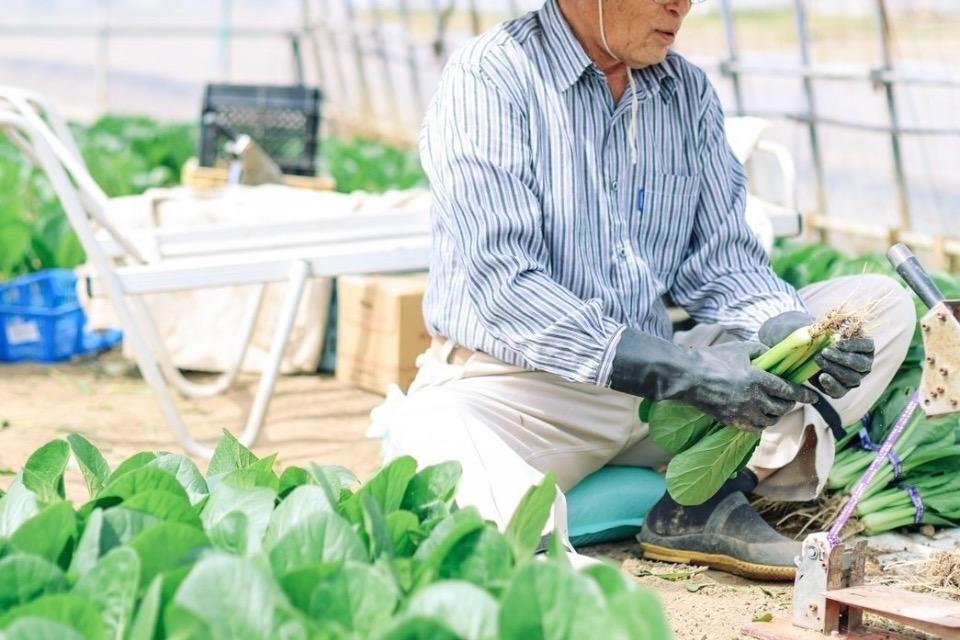 私たちの取り組む課題の画像