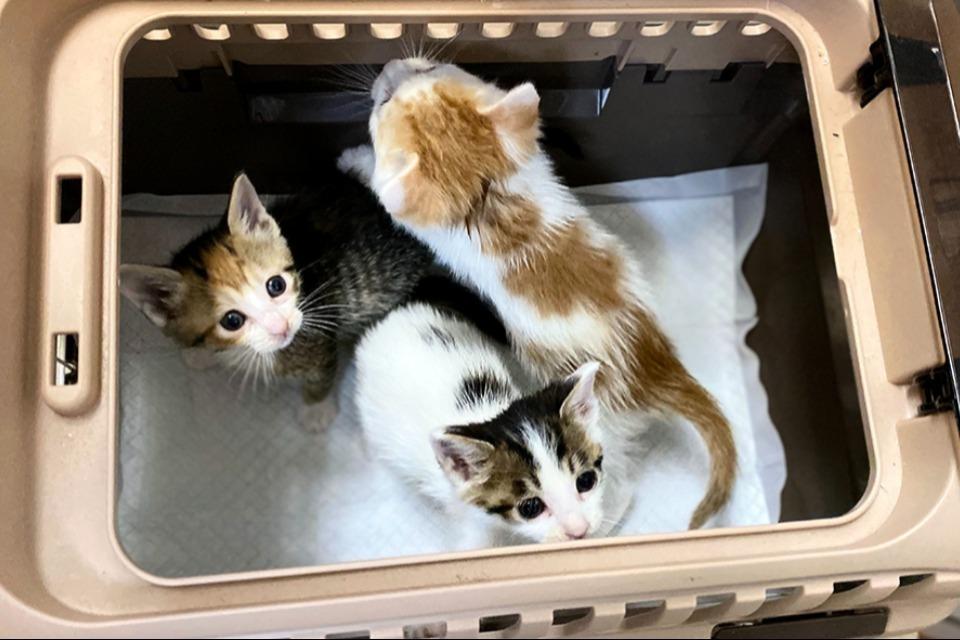 私たちの取り組む課題の画像