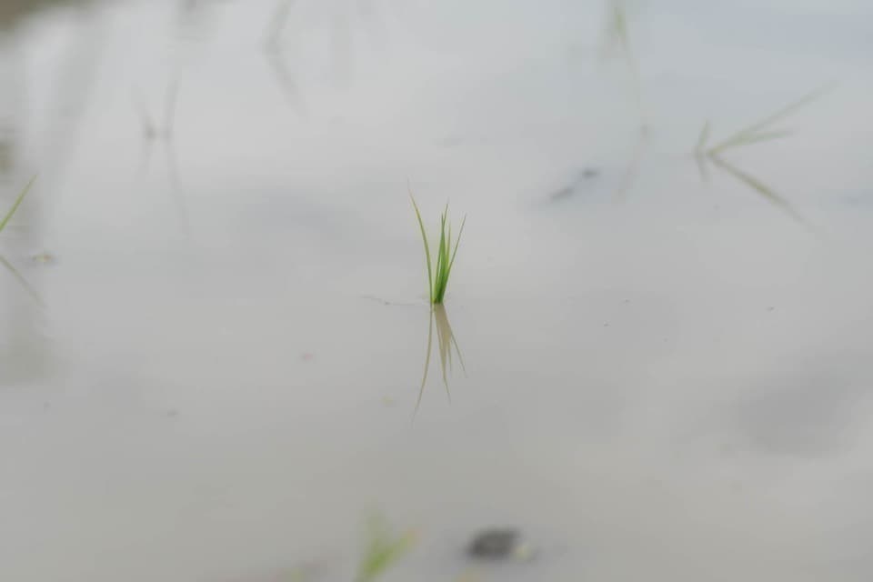 私たちの取り組む課題の画像