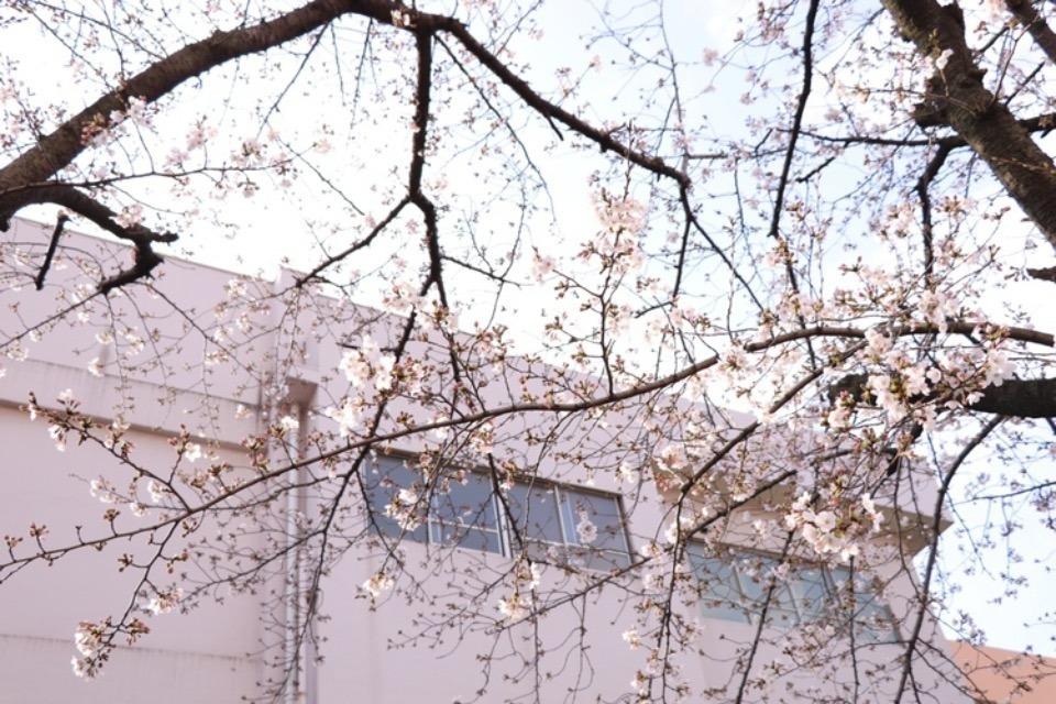 私たちの取り組む課題の画像