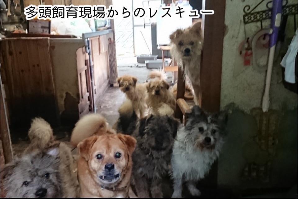 私たちの取り組む課題の画像