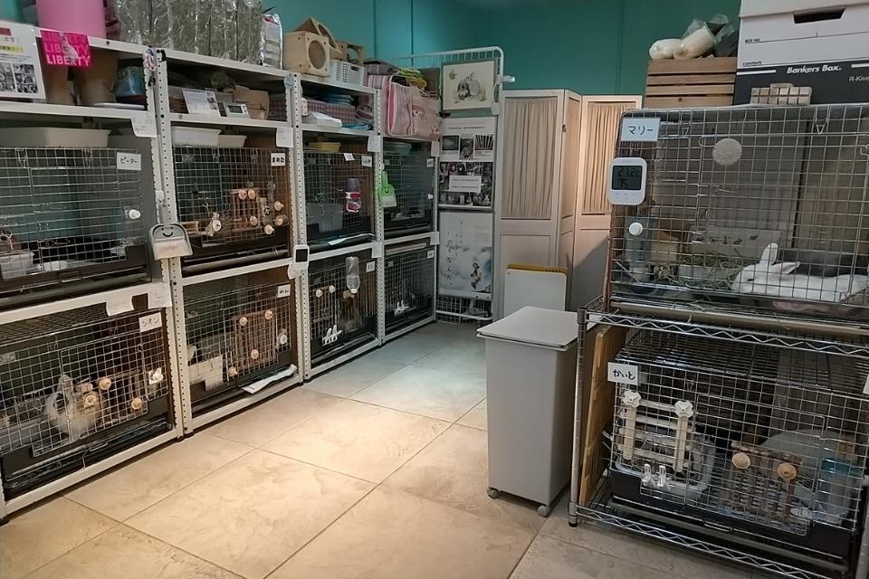 私たちの取り組む課題の画像