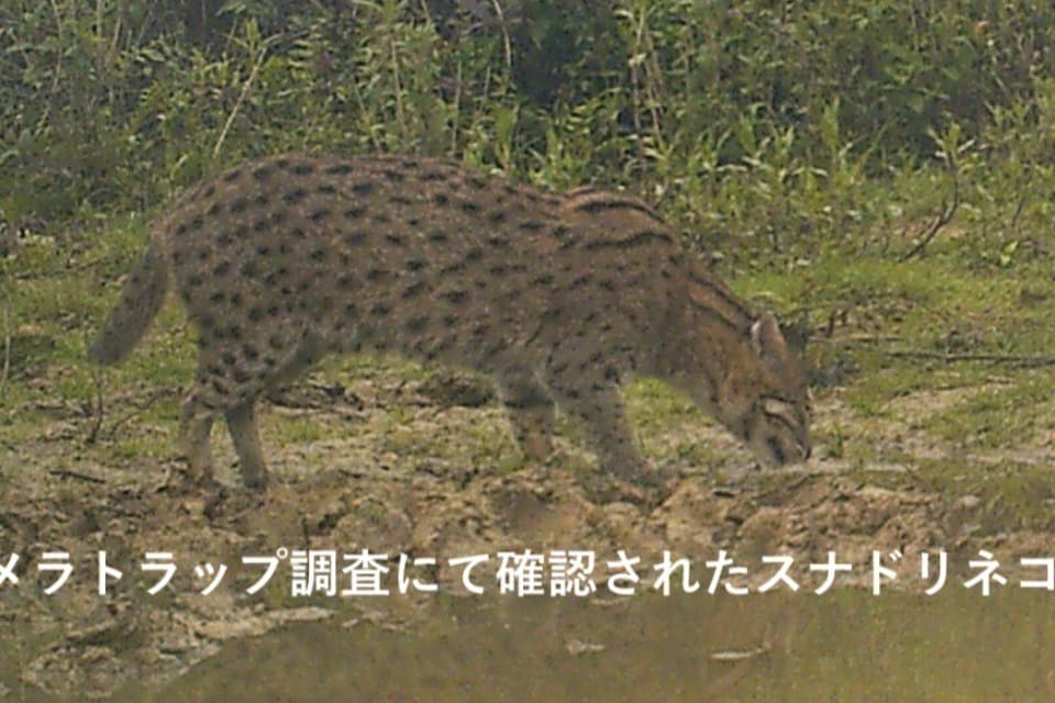 私たちの取り組む課題の画像