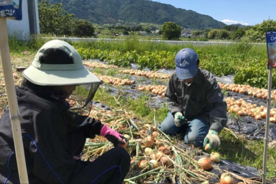 Issues we are working on Image