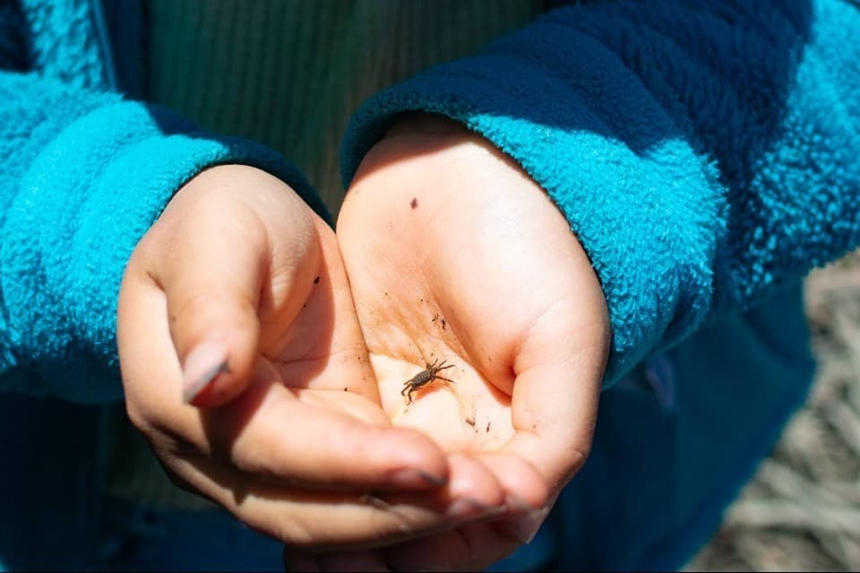 私たちの取り組む課題の画像