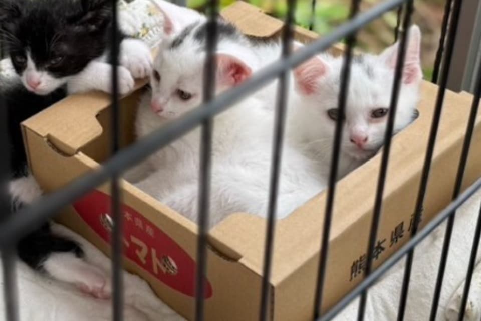 私たちの取り組む課題の画像