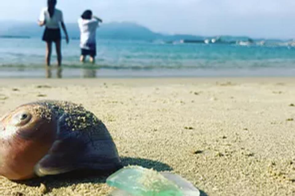私たちの取り組む課題の画像