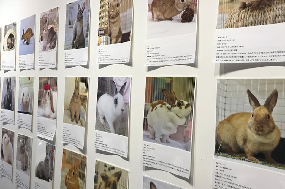 私たちの取り組む課題の画像