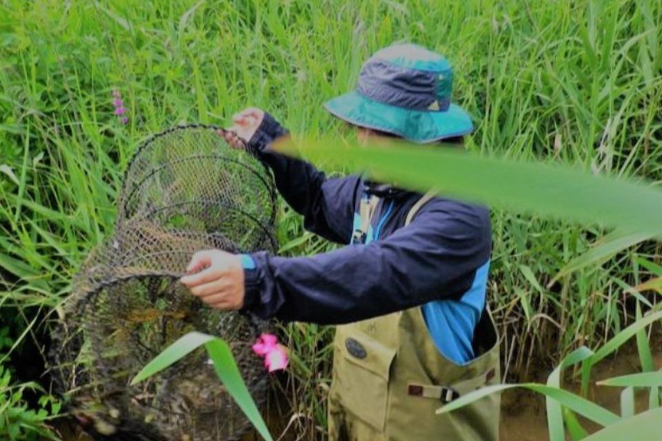 Issues we are working on Image