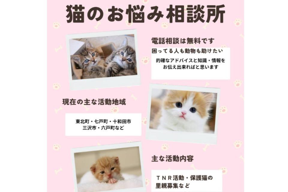 私たちの取り組む課題の画像