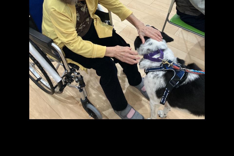私たちの取り組む課題の画像