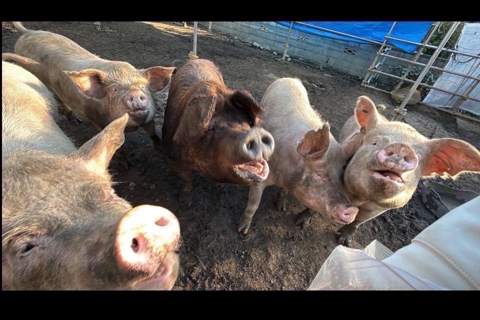 私たちの取り組む課題の画像