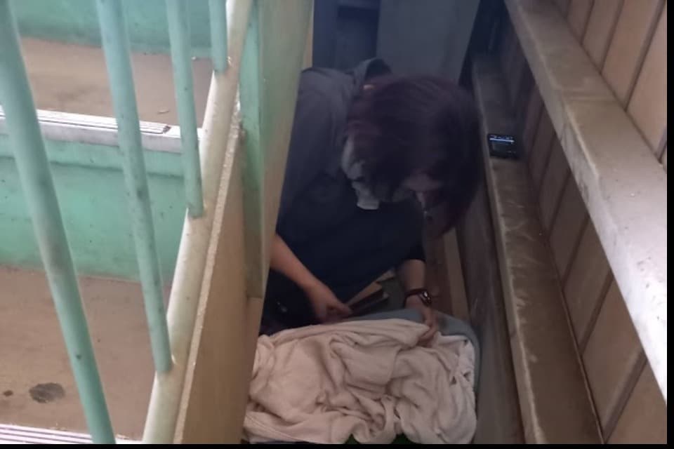 私たちの取り組む課題の画像