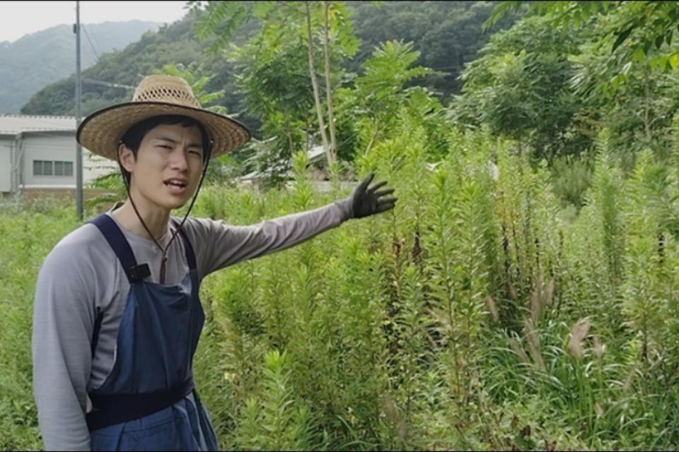 私たちの取り組む課題の画像