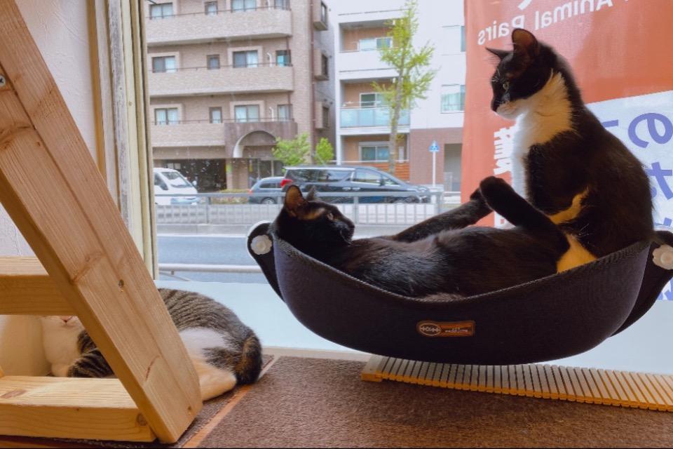 私たちの取り組む課題の画像