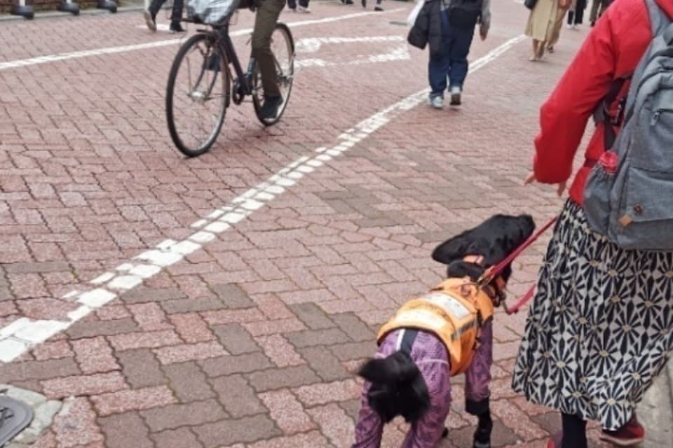 私たちの取り組む課題の画像