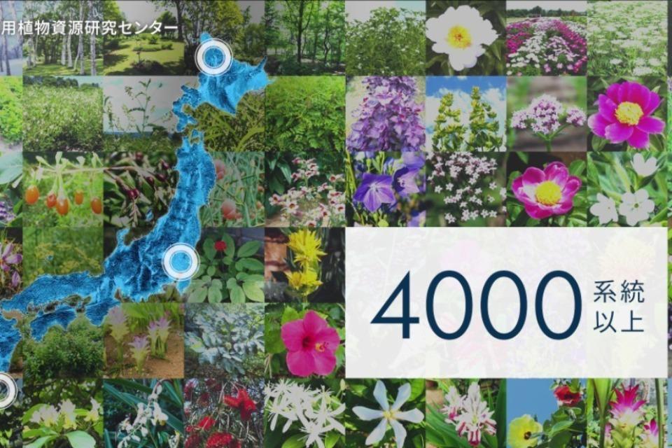 私たちの取り組む課題の画像
