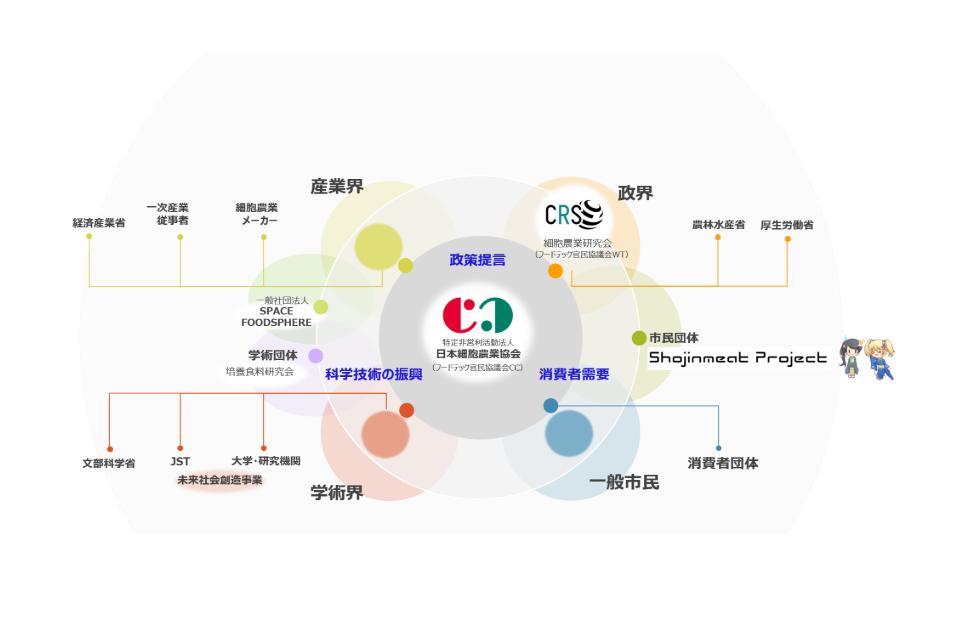 Issues we are working on Image