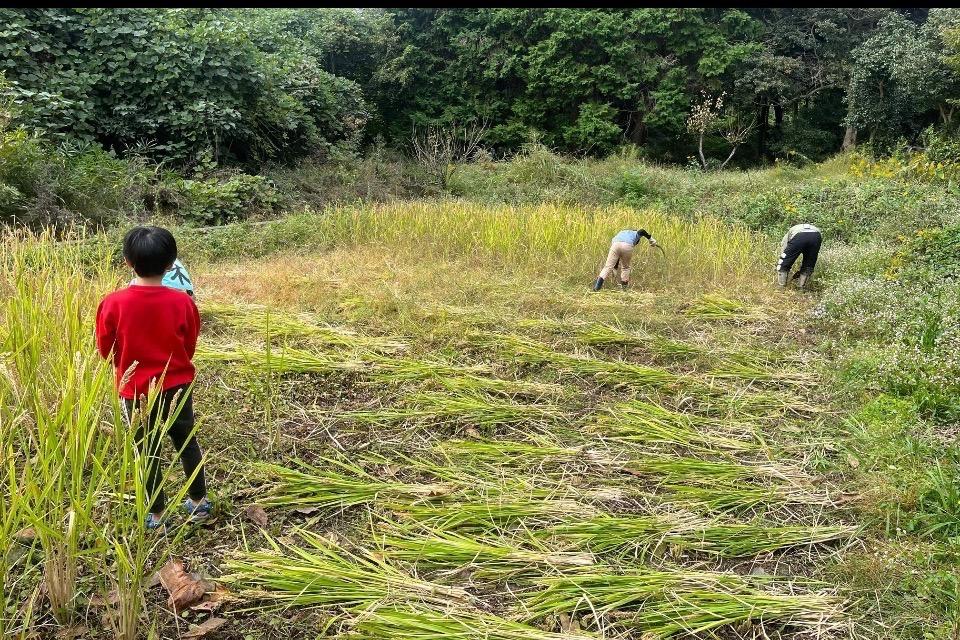 私たちの取り組む課題の画像