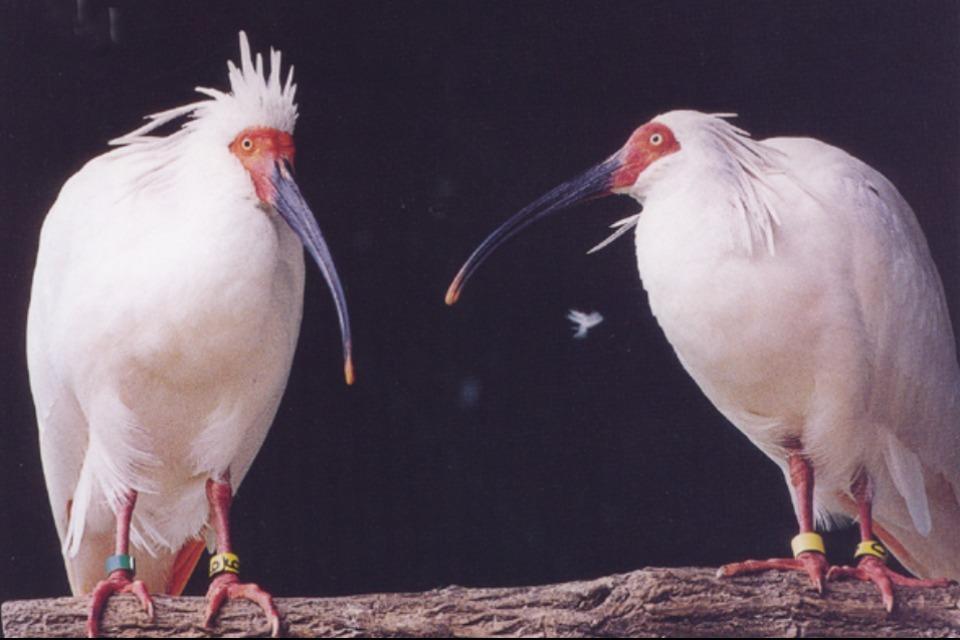 私たちの取り組む課題の画像