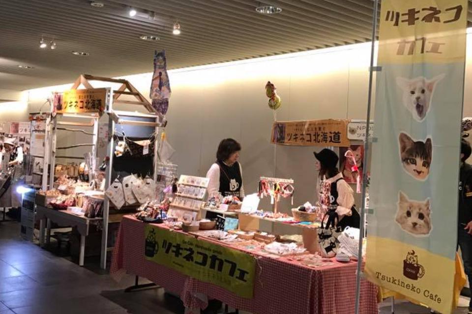 Issues we are working on Image