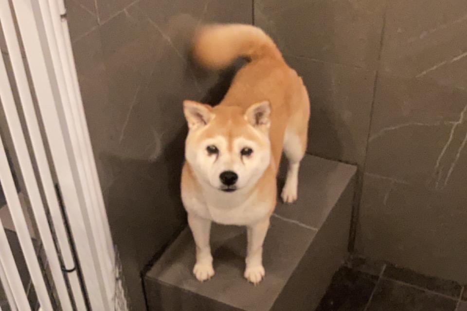 私たちの取り組む課題の画像