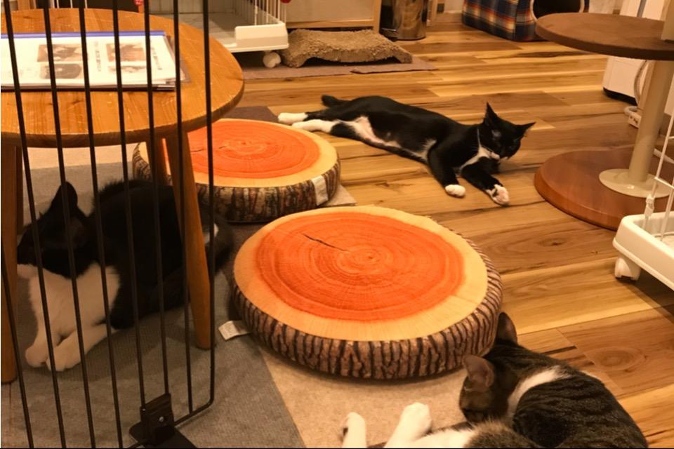 私たちの取り組む課題の画像