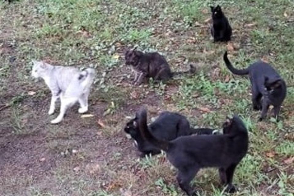 私たちの取り組む課題の画像