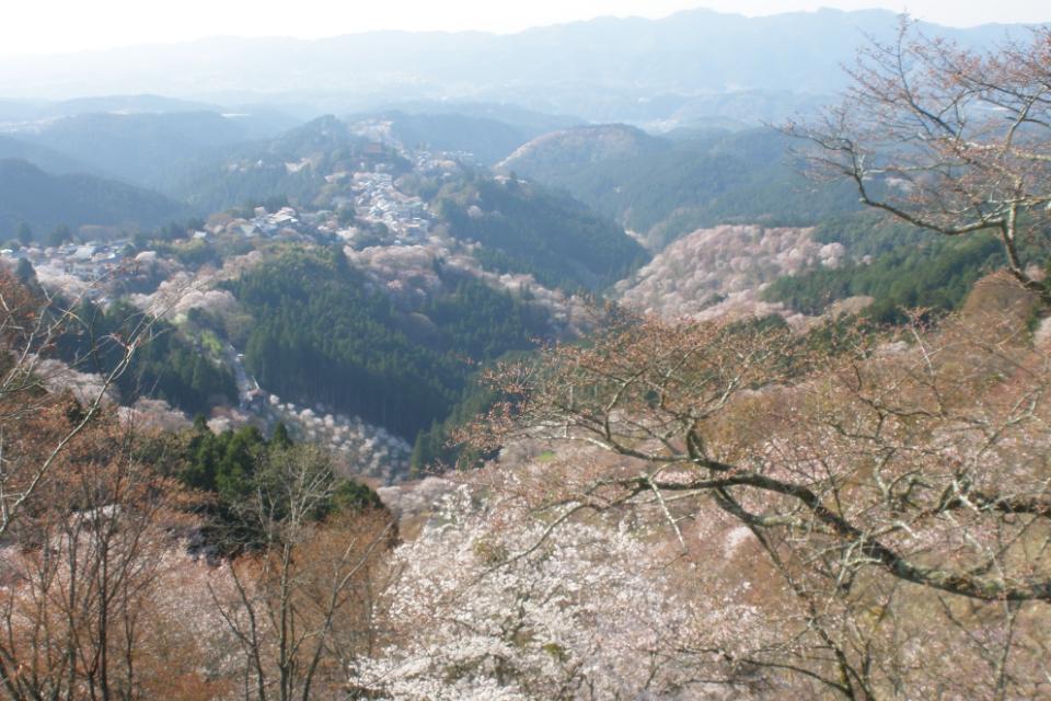 私たちの取り組む課題の画像