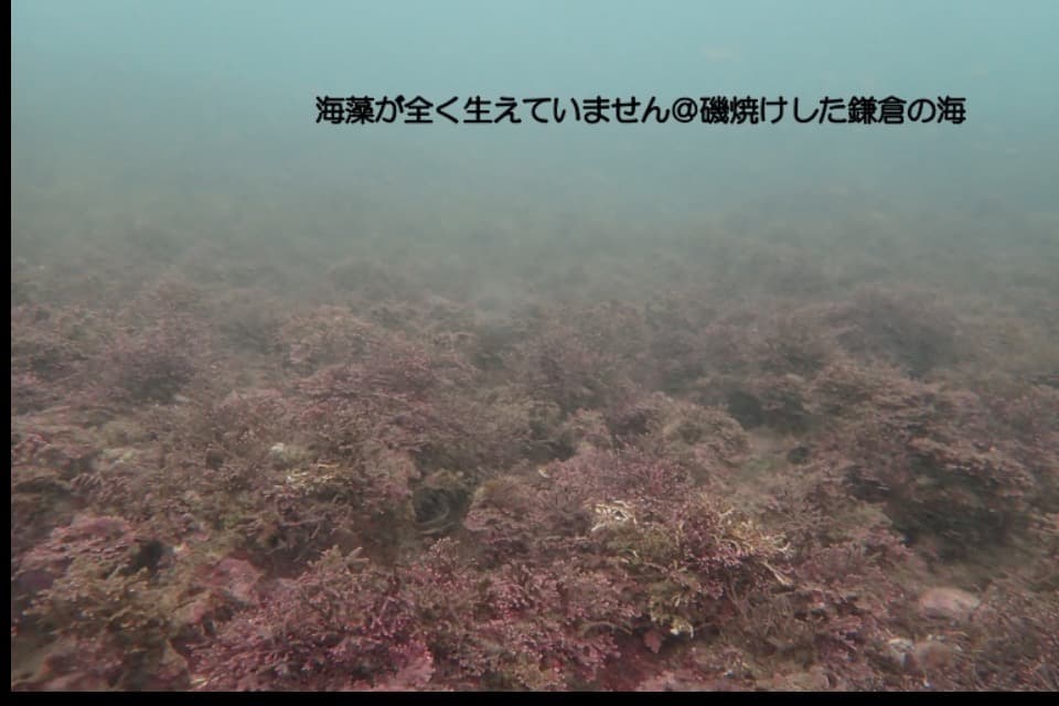 私たちの取り組む課題の画像