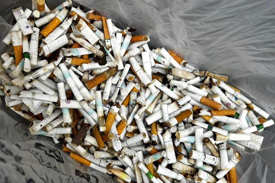 私たちの取り組む課題の画像