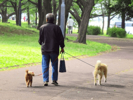 私たちの取り組む課題の画像
