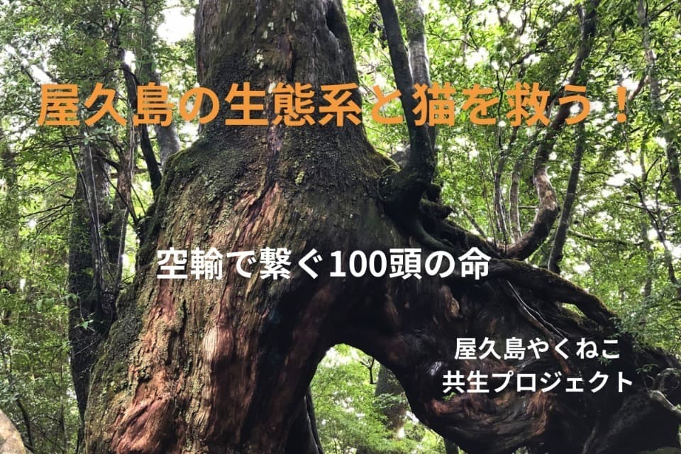 私たちの取り組む課題の画像