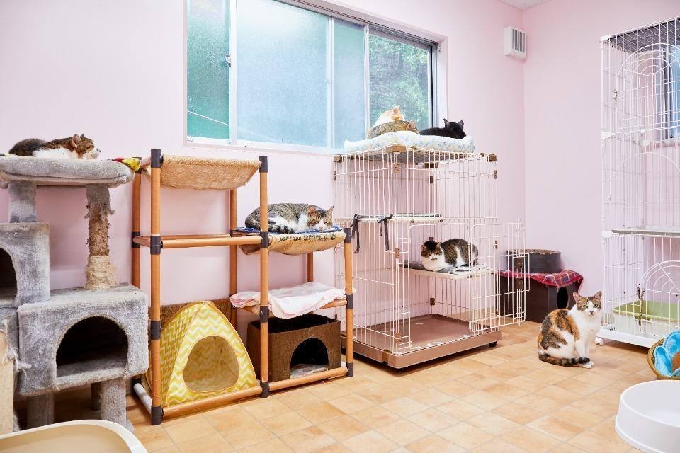 私たちの取り組む課題の画像