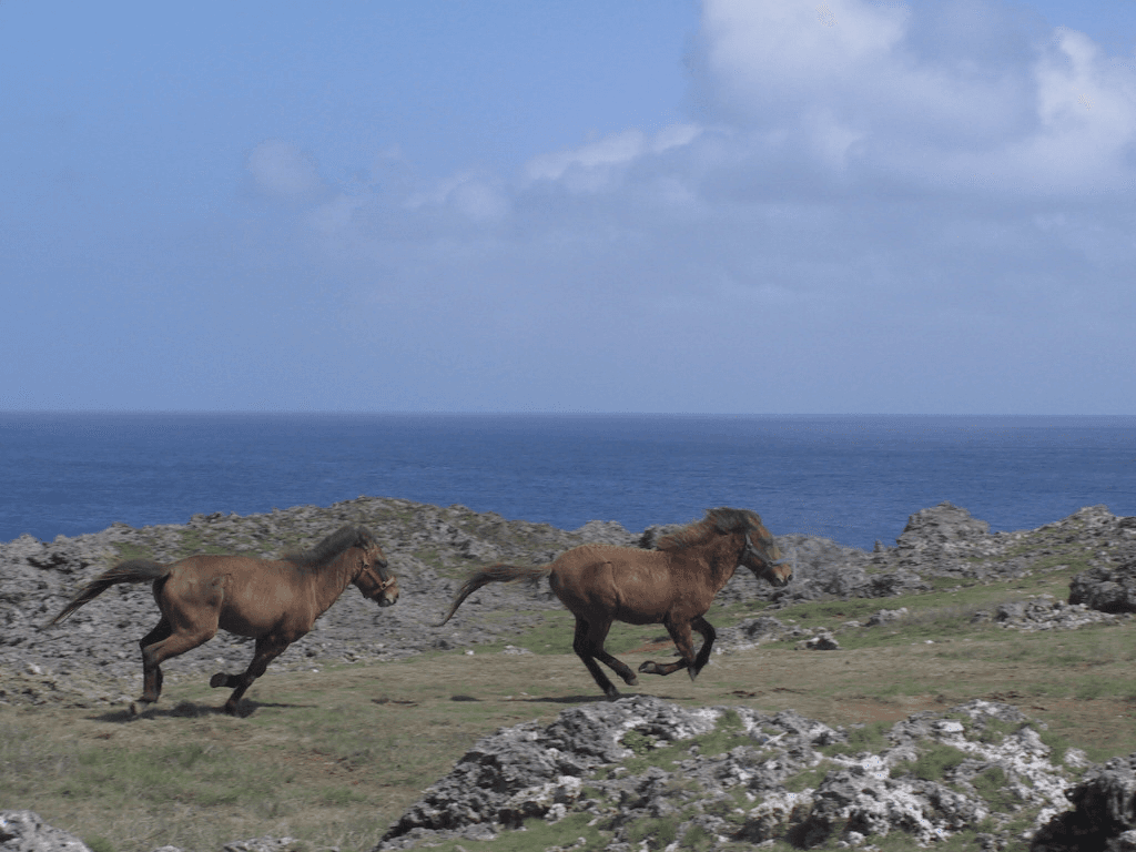 Issues we are working on Image