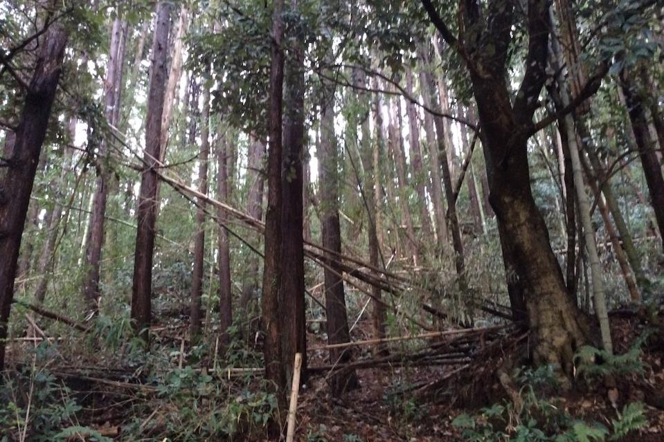 私たちの取り組む課題の画像