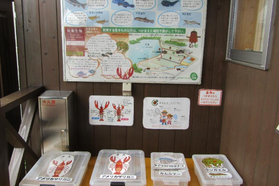 Issues we are working on Image