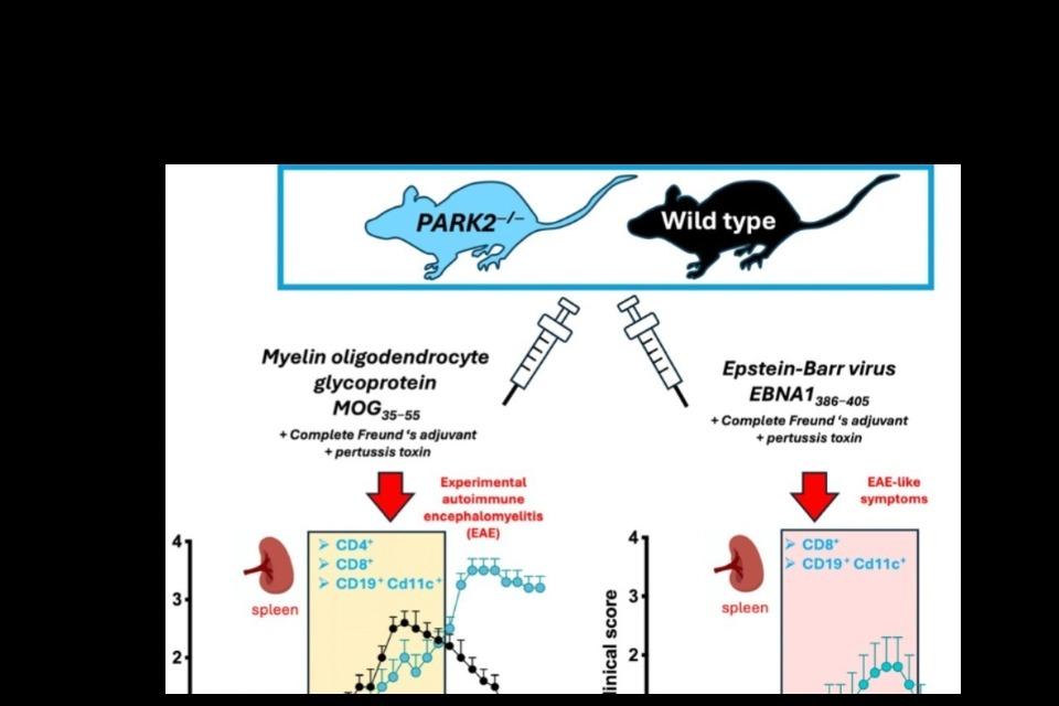 私たちの取り組む課題の画像