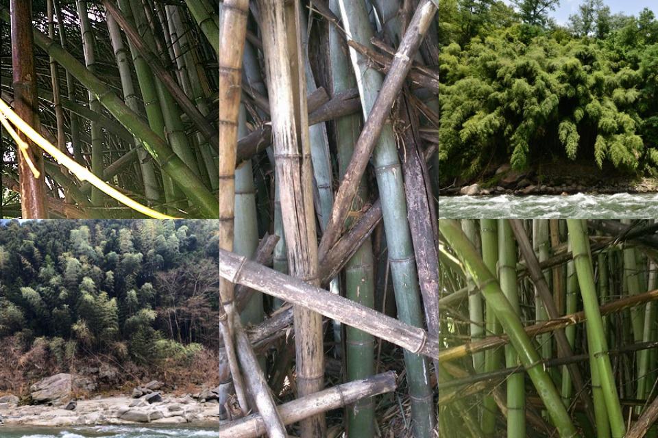 私たちの取り組む課題の画像