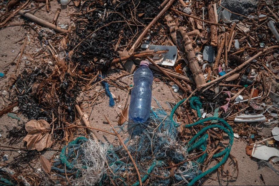 私たちの取り組む課題の画像